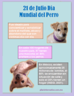 ¡No olvides celebrar a tu «lomito» en su día!