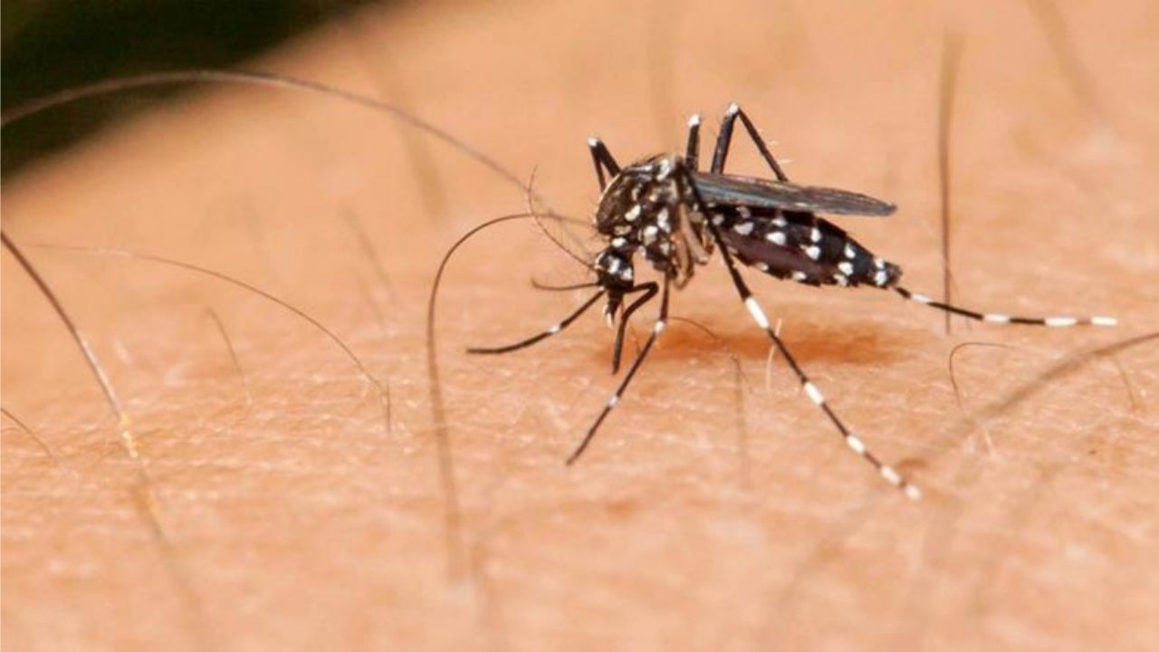 El dengue cobra a su primera víctima en Puebla, en 2023
