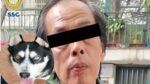 Detienen a sujeto que golpeo a perrito husky en calles de la Cuauhtémoc