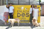 Hoy es el Día Mundial del Perro, y Grisi Pet Care presenta “EnlazaDos, Juntos Hacemos Camino”, campaña para apoyar a perros guía para ciegos