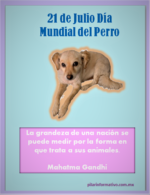 ¡Pásala guauuu con tu peludito!
