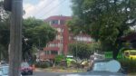 Por plaga, retiran palmeras en avenida Dr. Vertiz, alcaldía Benito Juárez