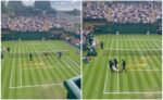 Ecologistas irrumpen en dos partidos de tenis de Wimbledon