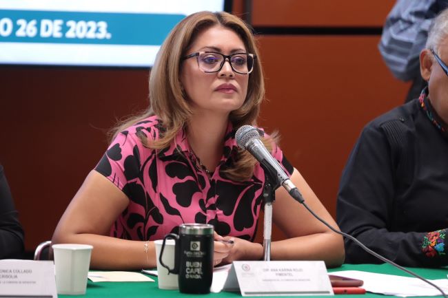 Diputada Ana Karina Rojo propone que el 9 de mayo de cada año sea declarado “Día Nacional del Bienestar” Diputada Ana Karina Rojo propone que el 9 de mayo de cada año sea declarado “Día Nacional del Bienestar”