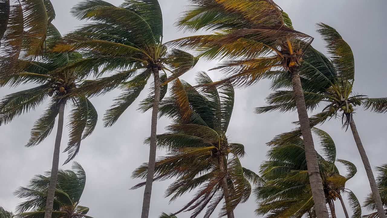 ‘Hilary’ se convierte en huracán categoría 2; se esperan lluvias intensas