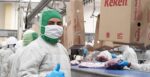 Kekén líder en salud y nutrición por sus modernos procesos en calidad