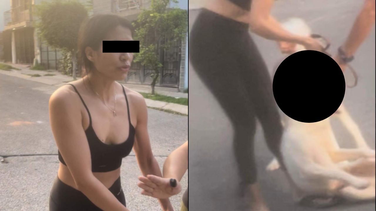 Mujer usa a su perro de raza husky para asesinar a otro lomito, en Jalisco