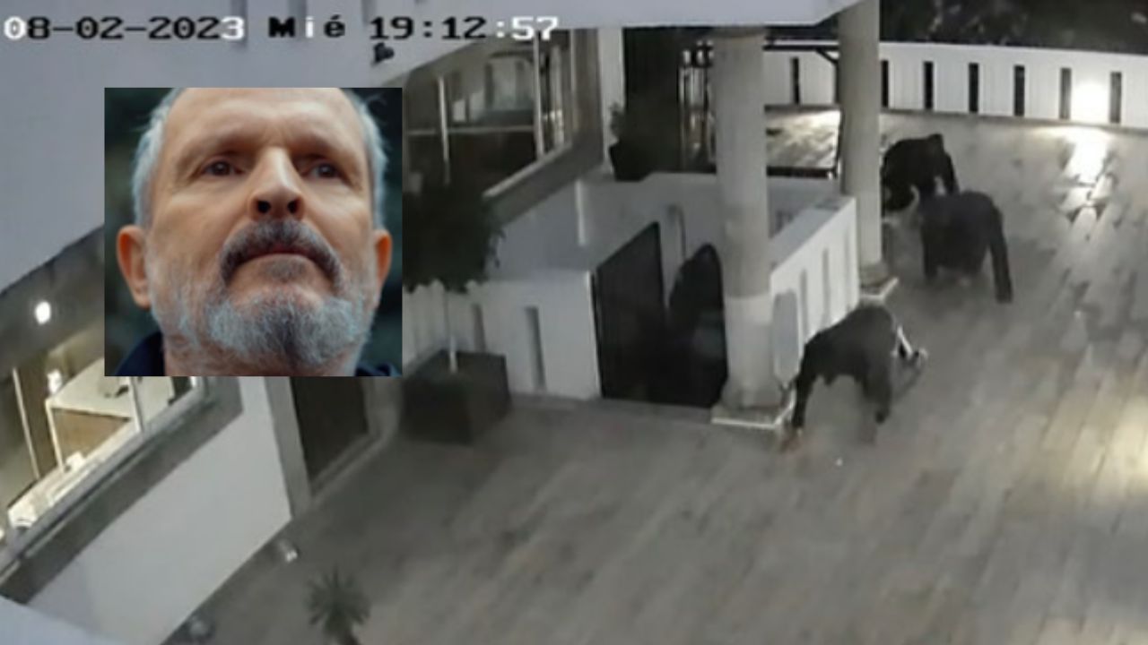 No solo a Miguel Bosé; otra casa de AO también fue robada dos semanas antes No solo a Miguel Bosé; otra casa de AO también fue robada dos semanas antes