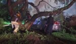 Mujer muere al chocar su BMW en Insurgentes Sur