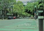 Seduvi pone en marcha nueva ciclovía en Avenida Coyoacán; esta será su ruta