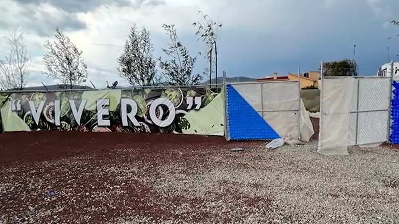 Aseguran “vivero” en Pachuca tras hallar un huachitúnel