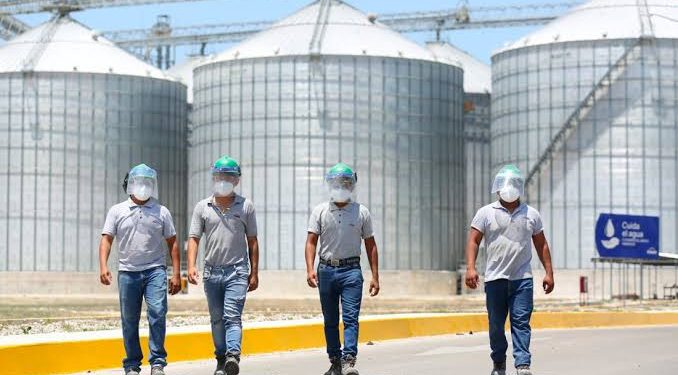 Calidad en los procesos garantizan la sustentabilidad y producción de Kekén