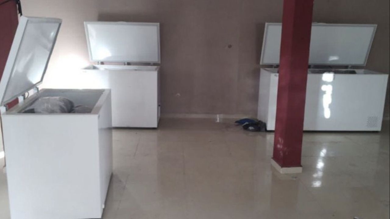 Ligan hallazgo de cuerpos congelados en Poza Rica a disputa entre grupos delictivos