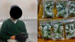 Cae estudiante de secundaría que vendía marihuana en la Álvaro Obregón