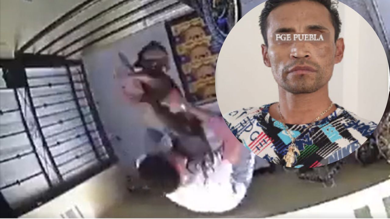 Cae sujeto que lanzó a perrita desde tercer piso en Puebla Cae sujeto que lanzó a perrita desde tercer piso en Puebla