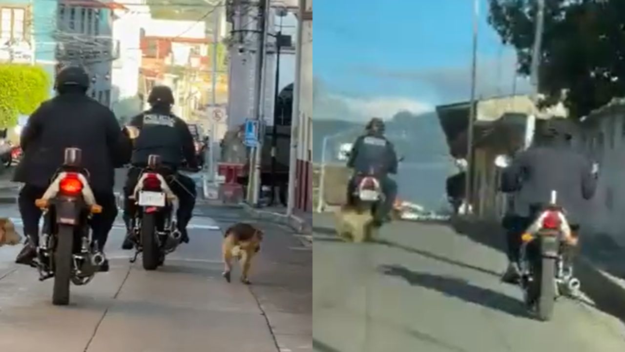 Captan a policía arrastrar a perrito en Jalalcingo, Veracruz Captan a policía arrastrar a perrito en Jalalcingo, Veracruz