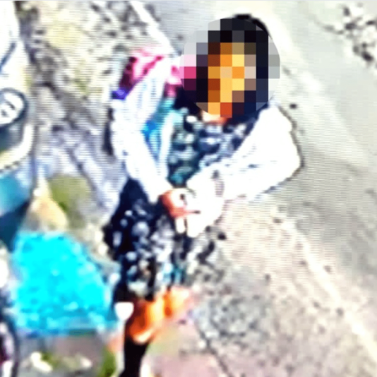 Ubican en El Carmen a Fernanda, niña desaparecida en la CDMX Ubican en El Carmen a Fernanda, niña desaparecida en la CDMX