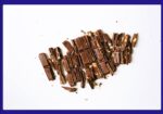 ¿Sabes cómo se conocieron el cono de helado y el chocolate?