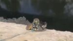 Bomberos rescatan a perrito de canal de aguas negras en la GAM