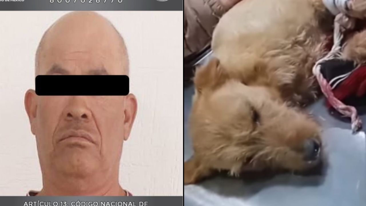 Detienen a hombre que le destrozó la patita a un perrito en Edomex Detienen a hombre que le destrozó la patita a un perrito en Edomex