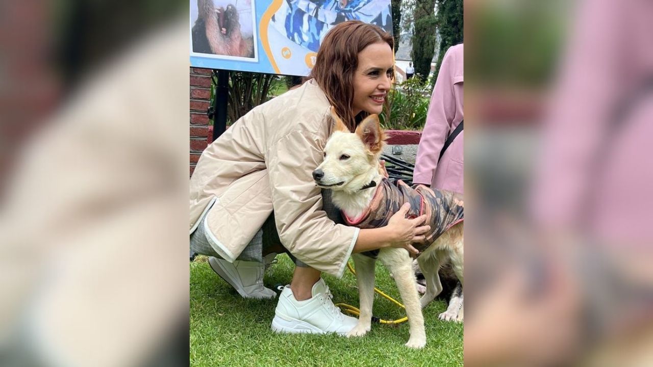 Clara Luz Flores impulsa decálogo contra el maltrato animal Clara Luz Flores impulsa decálogo contra el maltrato animal