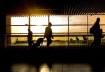 Dooddo nos da unos tips para no ser víctima de los ‘Montaviajes’