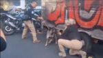 Rescatan a perrito que era arrastrado por un remolque en la Venustiano Carranza