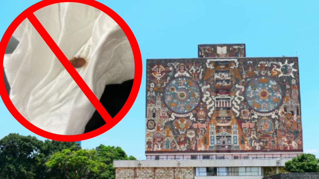 UNAM niega existencia de chinches en sus instalaciones UNAM niega existencia de chinches en sus instalaciones