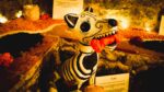 Humane Society Internacional México honra a los animales en Día de Muertos