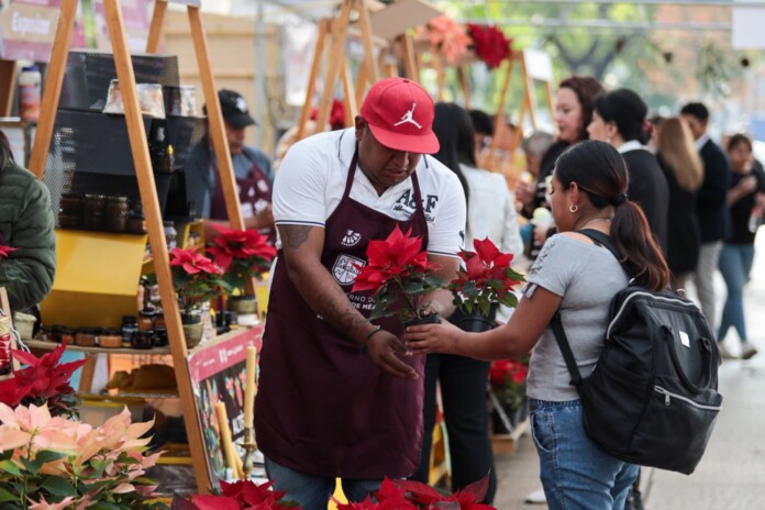 Arranca el Festival de Flores de Nochebuena: Un Colorido Preámbulo Navideño en Paseo de la Reforma Arranca el Festival de Flores de Nochebuena: Un Colorido Preámbulo Navideño en Paseo de la Reforma