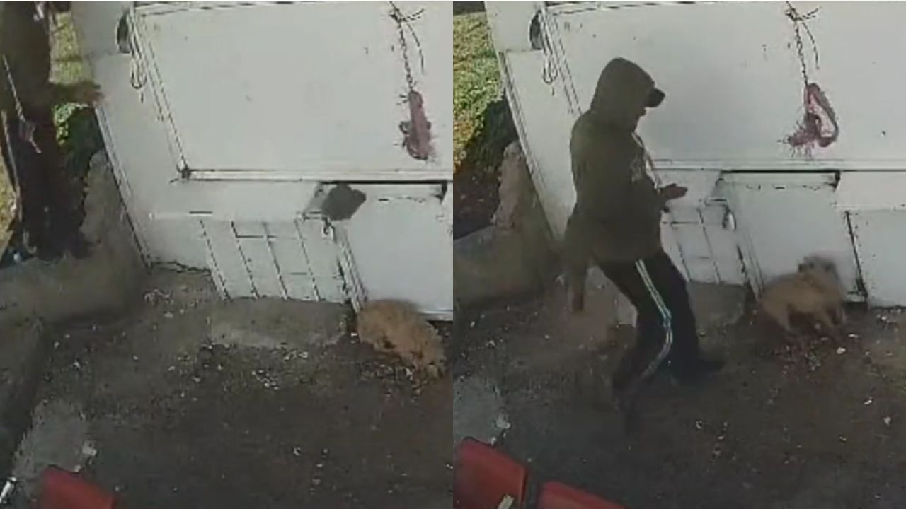 Captan a trabajador de limpieza golpeando a perrito en Naucalpan Captan a trabajador de limpieza golpeando a perrito en Naucalpan