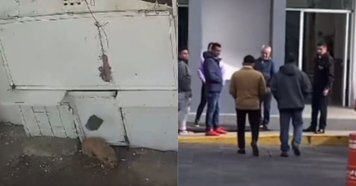 Extrabajador que golpeó a perrito en Naucalpan se entrega ante la Fiscalía Extrabajador que golpeó a perrito en Naucalpan se entrega ante la Fiscalía