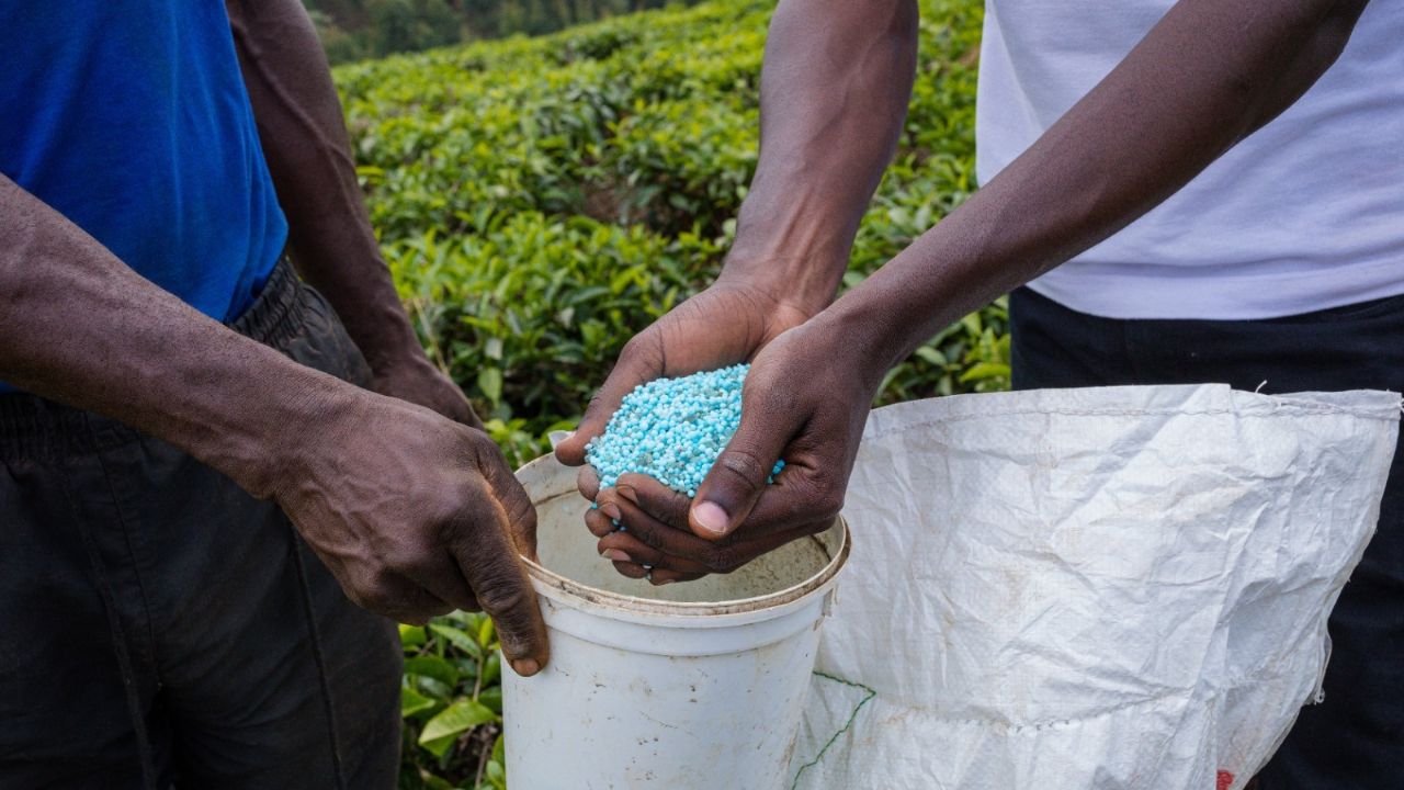 FAO prevé alza en demanda de fertilizantes FAO prevé alza en demanda de fertilizantes