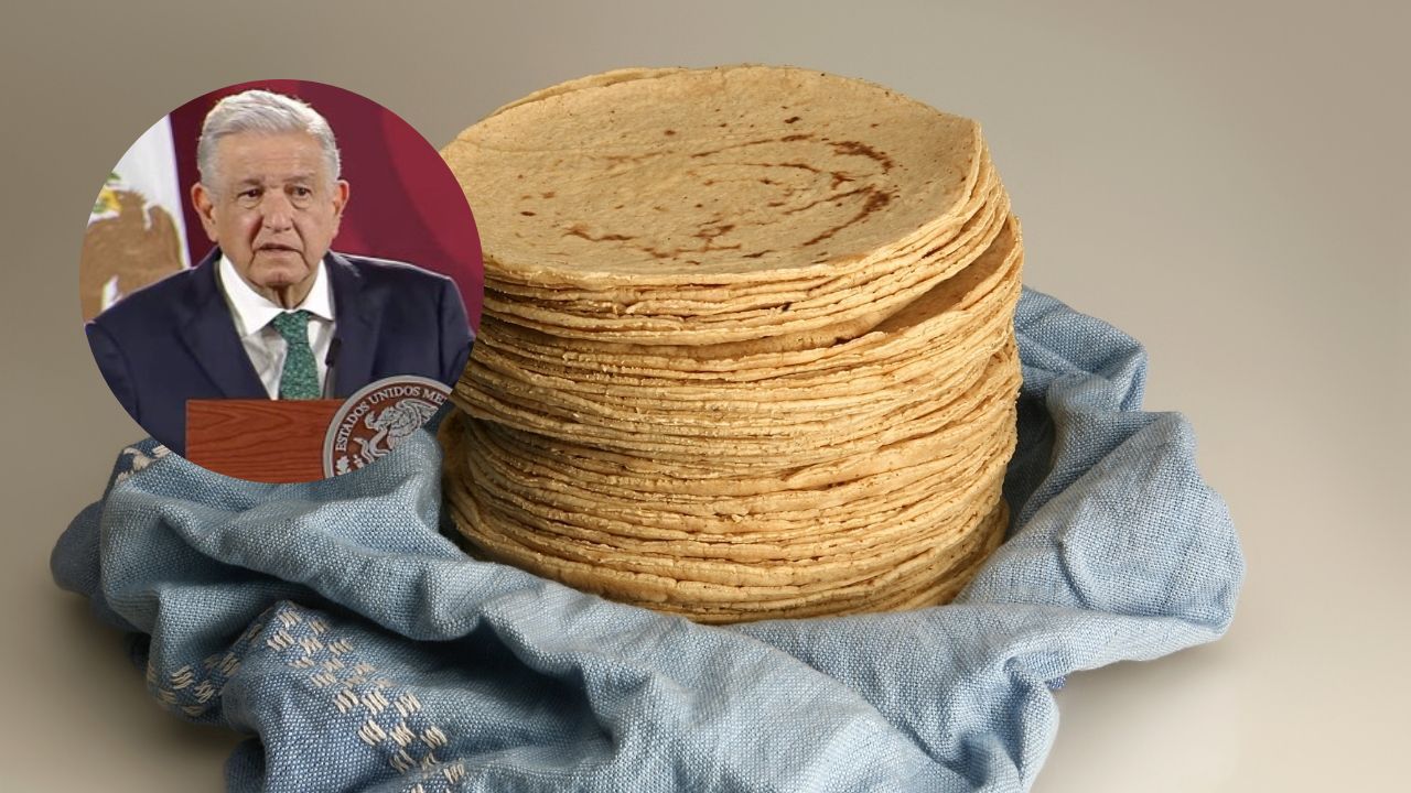Tortilla de maíz, aliada para prevenir el cáncer: Investigadores Tortilla de maíz, aliada para prevenir el cáncer: Investigadores