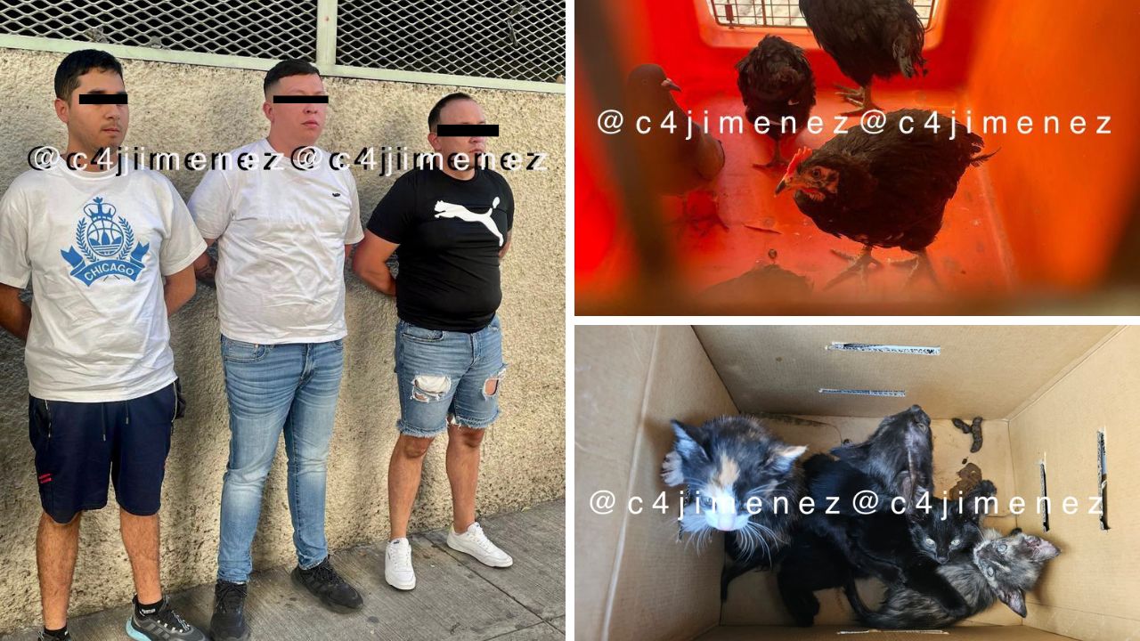 Caen santeros con cadáver de bebé y animales en Venustiano Carranza Caen santeros con cadáver de bebé y animales en Venustiano Carranza