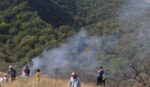 Reportan desplome de una avioneta en Morelos