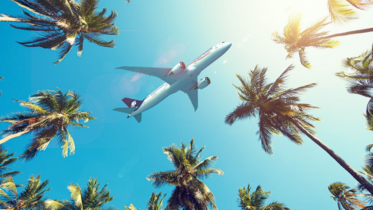 Aeroméxico expande su presencia en EUA con vuelo diario hacia Tampa, Florida Aeroméxico expande su presencia en EUA con vuelo diario hacia Tampa, Florida