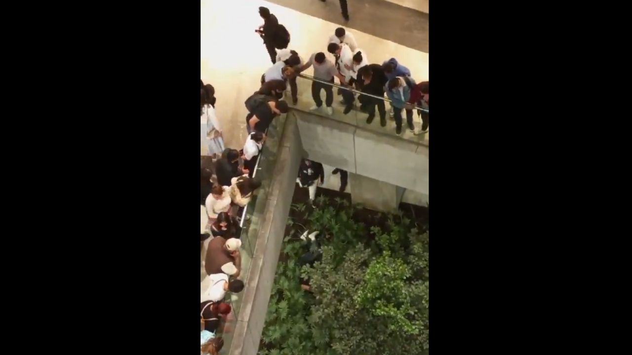 Cae una persona desde el primer piso en Plaza las Antenas, Iztapalapa Cae una persona desde el primer piso en Plaza las Antenas, Iztapalapa