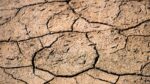 Sequía seguirá afectando inflación en México, prevé Bank of America