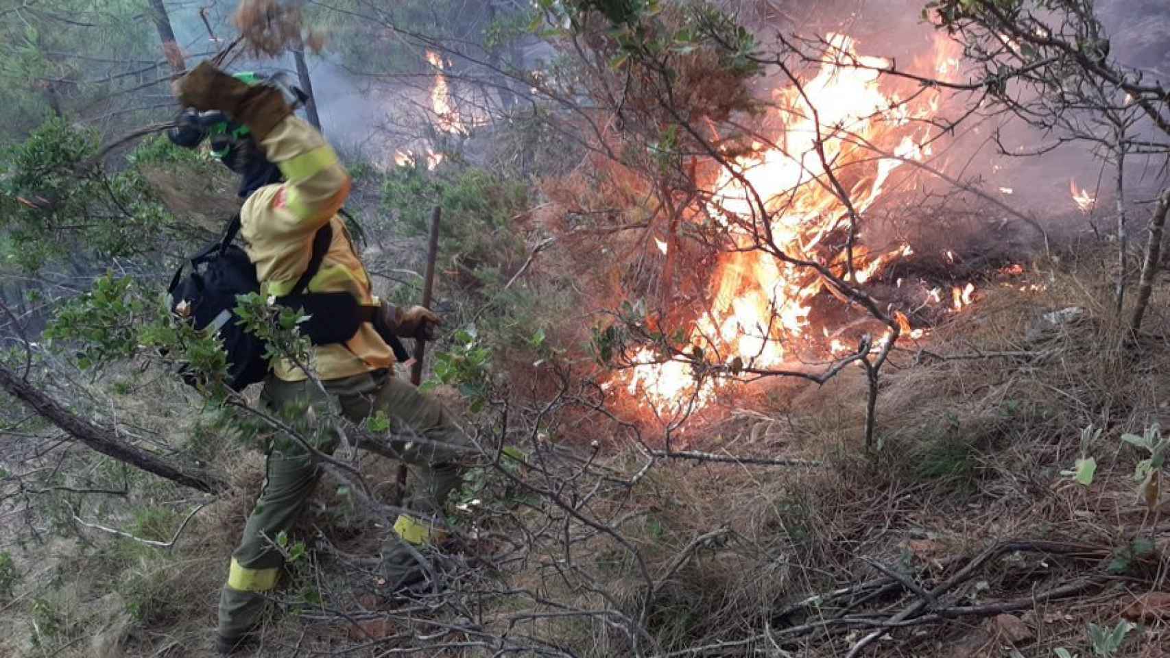 Investigan si incendios forestales son provocados, señala López Obrador