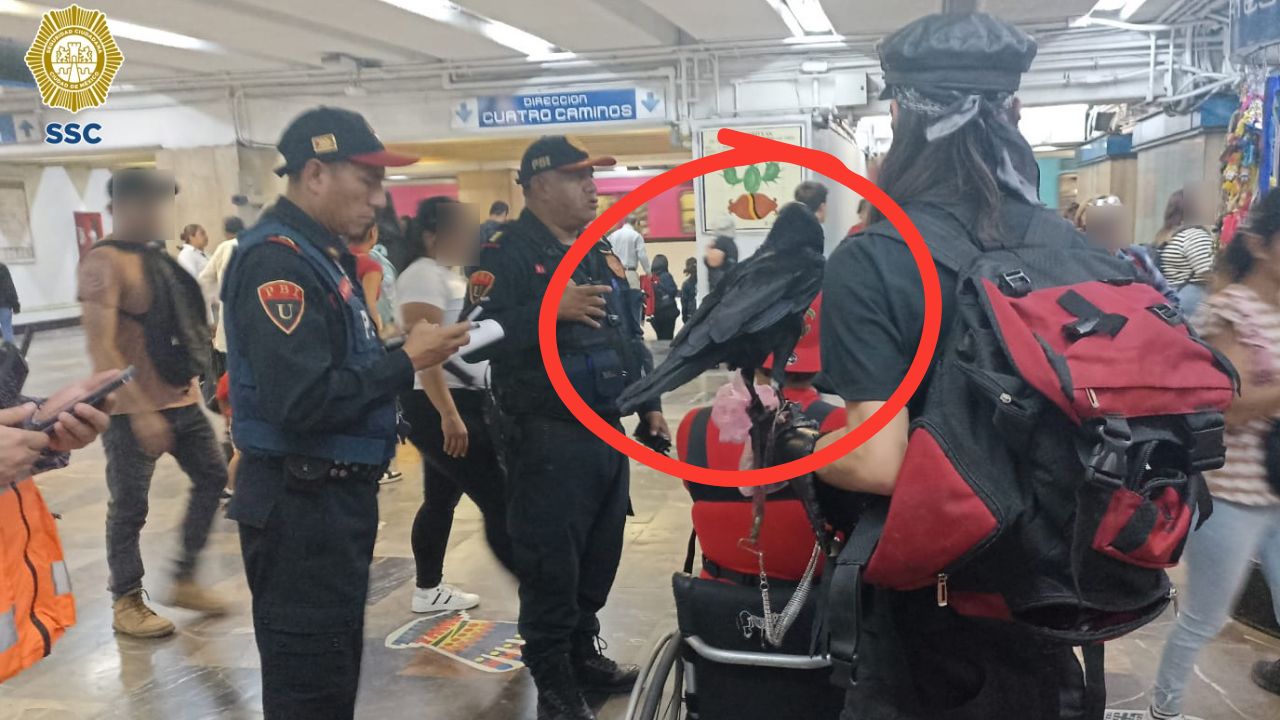 Desalojan a dos usuarios del Metro por transportar un cuervo