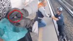 Ave cae a las vías del Metro y detienen el servicio en la Línea B