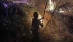 Se quedan sin clases en Acapulco y Chilpancingo por incendios
