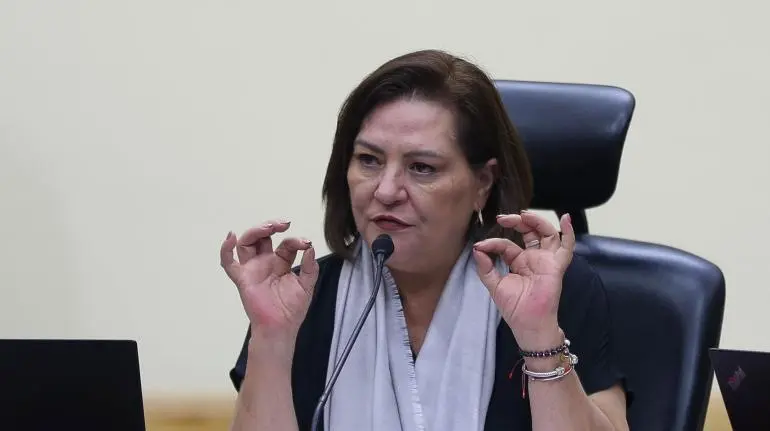 INE y OEA pactan la observancia de las elecciones