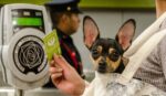Mascotas pueden viajar en el Metro de CDMX