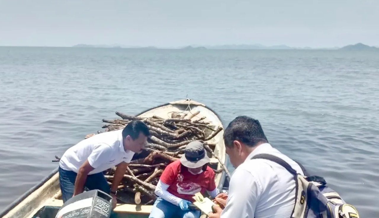 China apura a México para investigar caso de naufragio de 8 migrantes chinos China apura a México para investigar caso de naufragio de 8 migrantes chinos
