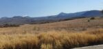 En Sierra Costa michoacana urgen a iniciar ya la etapa de reforestación; sin ella no habrá agua de lluvia que se filtre en el suelo