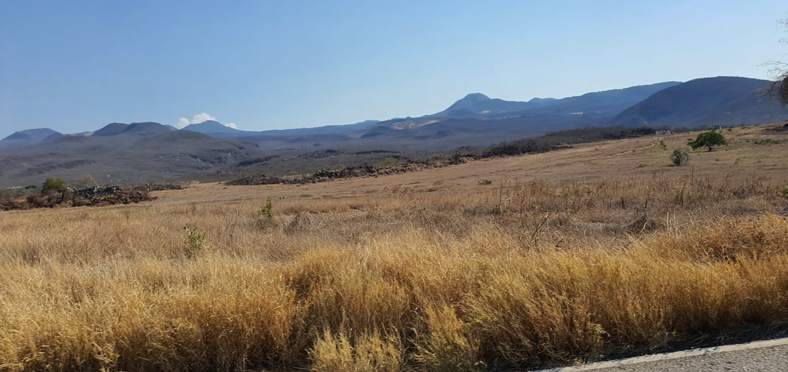 En Sierra Costa michoacana urgen a iniciar ya la etapa de reforestación; sin ella no habrá agua de lluvia que se filtre en el suelo En Sierra Costa michoacana urgen a iniciar ya la etapa de reforestación; sin ella no habrá agua de lluvia que se filtre en el suelo