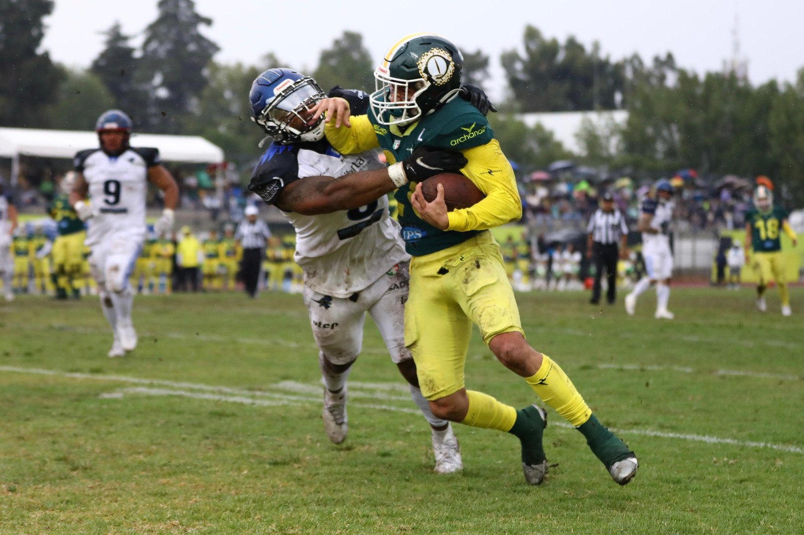 Raptors interceptó a Aaron Ellis y a los Gallos Negros; ganan 25-14 y están en la pelea para la postemporada Raptors interceptó a Aaron Ellis y a los Gallos Negros; ganan 25-14 y están en la pelea para la postemporada