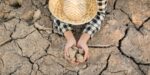 Sequía en México ya afecta 85% del territorio nacional; impacta la falta de lluvias